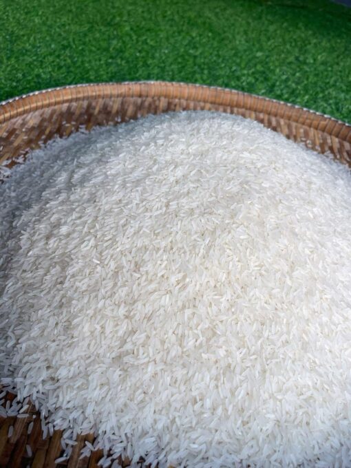 Buy Jasmine Rice