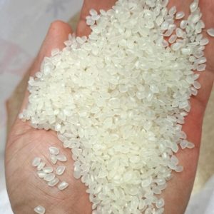 Sushi Rice Supplier